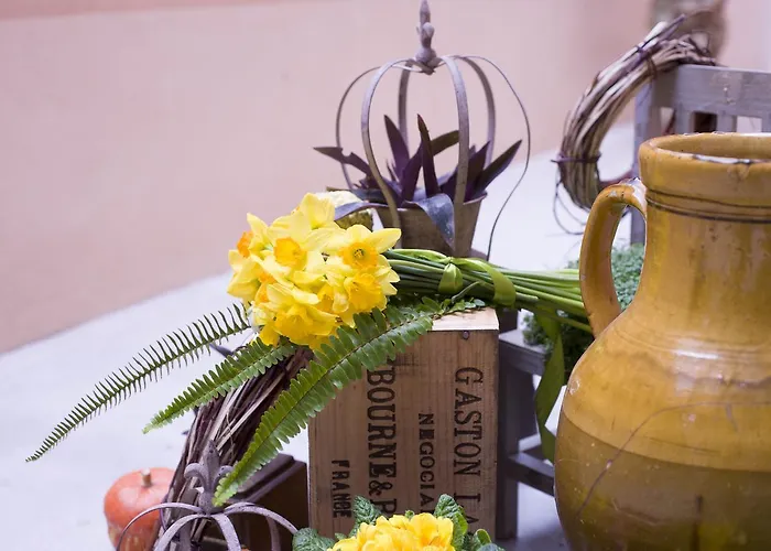 La Valle Delle Ferriere Bed & Breakfast