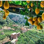 La Valle Delle Ferriere Bed & Breakfast Amalfi