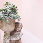 La Valle Delle Ferriere 4* Amalfi