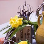 La Valle Delle Ferriere Bed & Breakfast