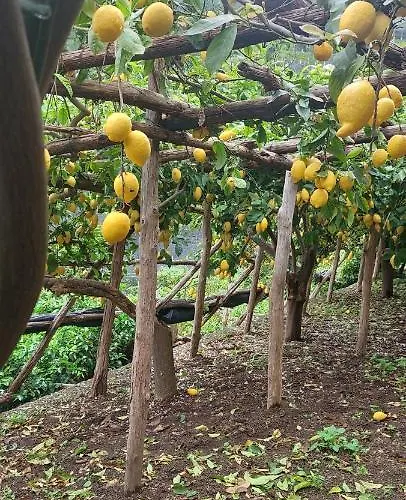 La Valle Delle Ferriere 4* אמאלפי