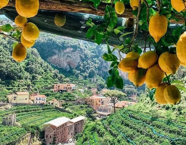 La Valle Delle Ferriere לינה וארוחת בוקר אמאלפי