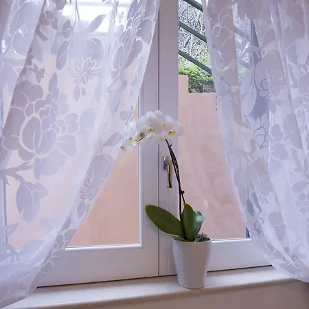 ラ ヴァッレ デッレ フェッリエーレ 4*