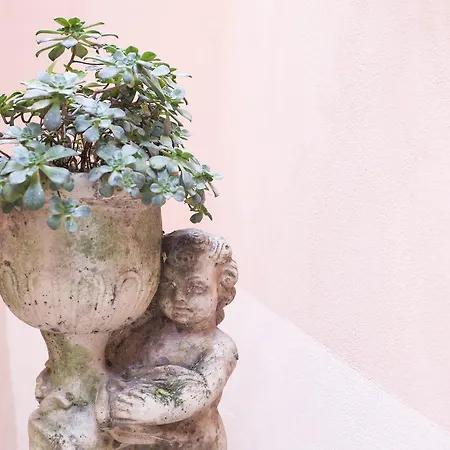 ラ ヴァッレ デッレ フェッリエーレ 4* アマルフィ