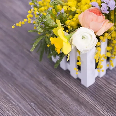 ラ ヴァッレ デッレ フェッリエーレ ベッド・アンド・ブレックファスト